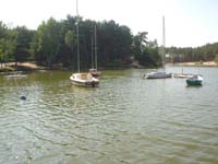 przysta